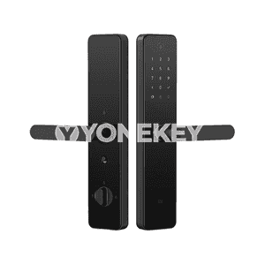 Xiaomi akylly gapy gulpy