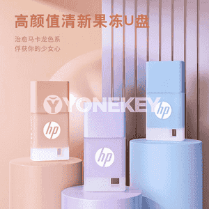 Universal HP USB fleşka.