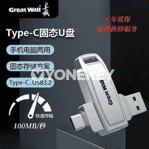 Great Wall u diski.